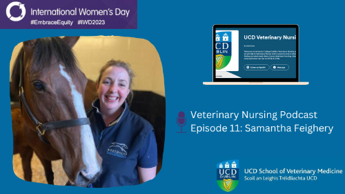 Poster for International Womens Day podcast episode showing a female Veterinary Nurse smiling with a horse